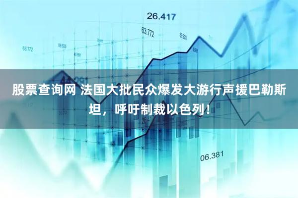股票查询网 法国大批民众爆发大游行声援巴勒斯坦，呼吁制裁以色列！