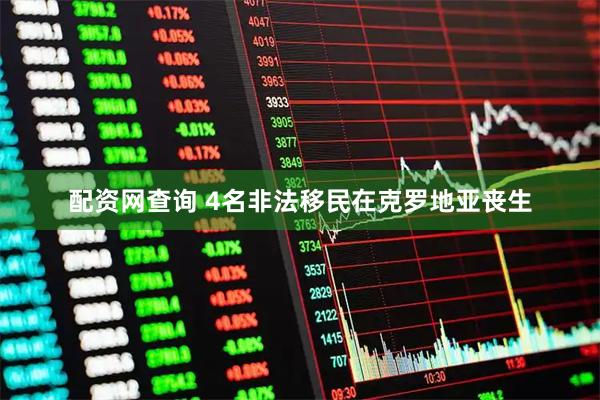 配资网查询 4名非法移民在克罗地亚丧生