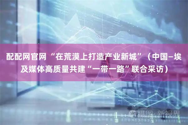 配配网官网 “在荒漠上打造产业新城”（中国—埃及媒体高质量共建“一带一路”联合采访）